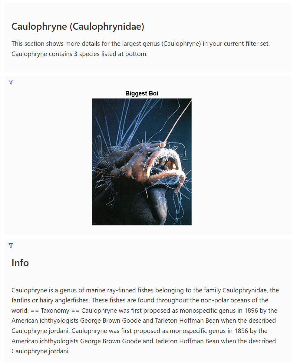 A hairy anglerfish
